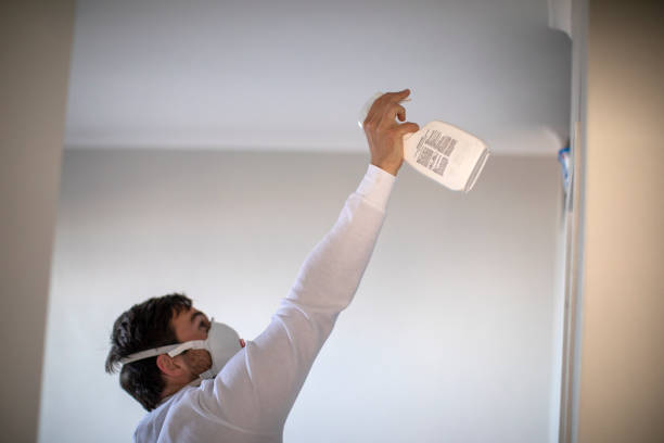 Professional Mold Remediation in Powell, AL